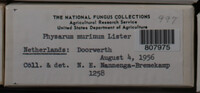 Image Associated With the Occurence